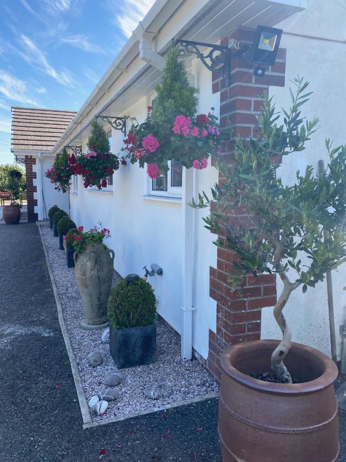 Toppesfield House B&B Bude Eksteriør billede