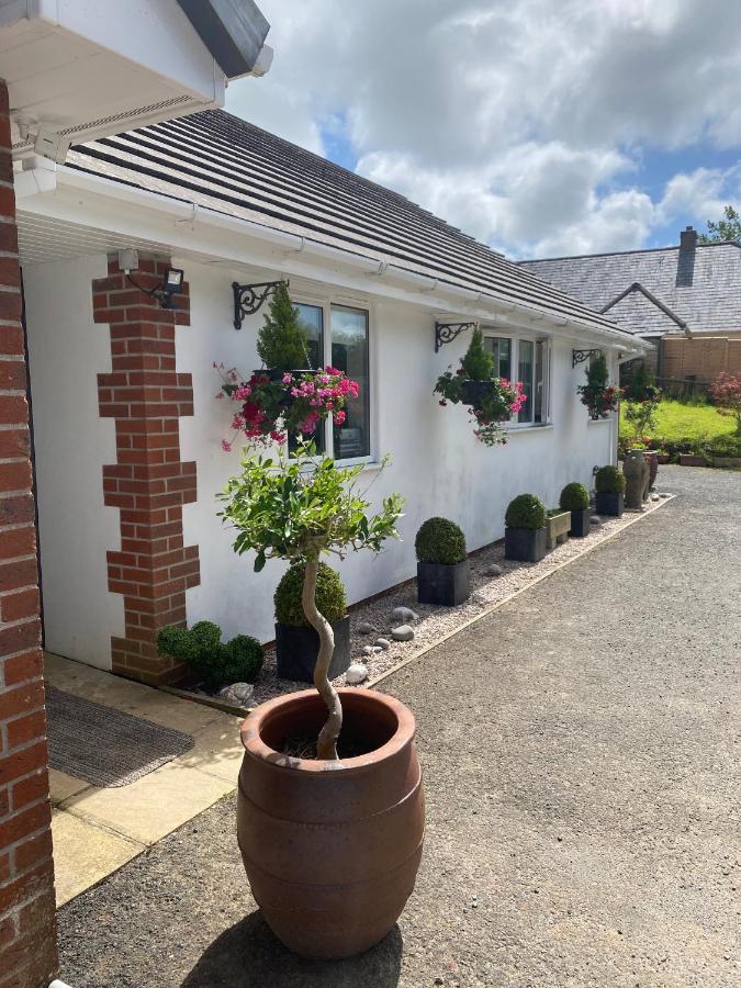 Toppesfield House B&B Bude Eksteriør billede
