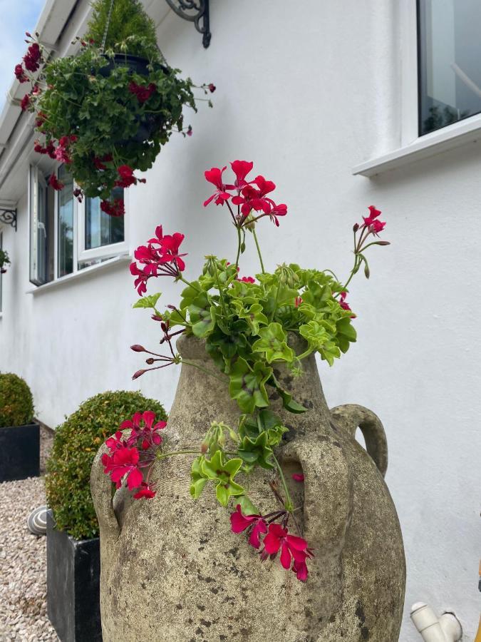 Toppesfield House B&B Bude Eksteriør billede