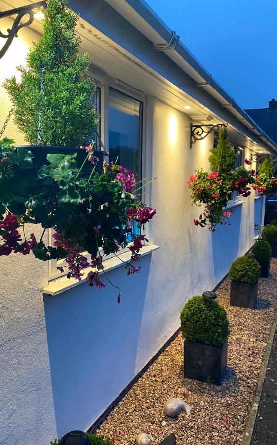 Toppesfield House B&B Bude Eksteriør billede