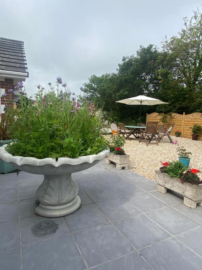 Toppesfield House B&B Bude Eksteriør billede