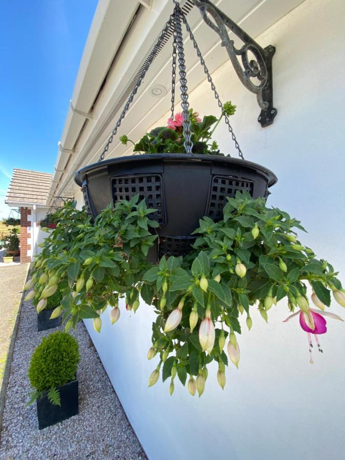 Toppesfield House B&B Bude Eksteriør billede