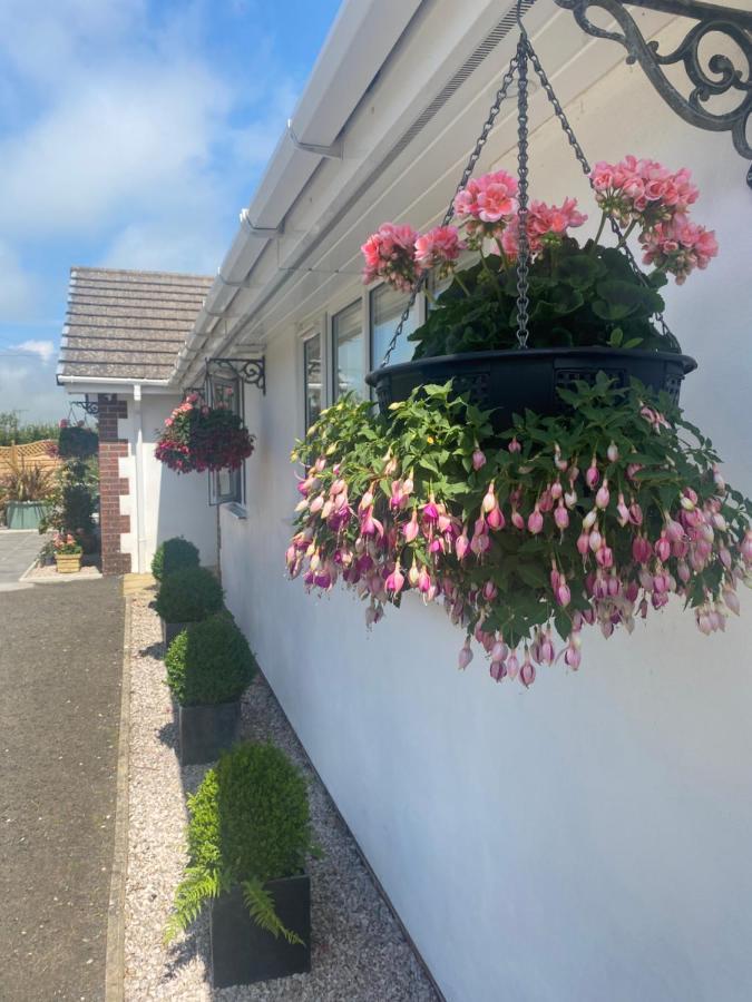 Toppesfield House B&B Bude Eksteriør billede