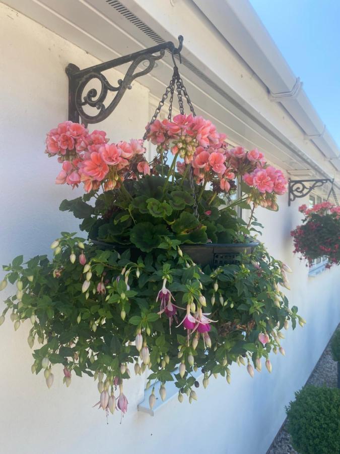 Toppesfield House B&B Bude Eksteriør billede