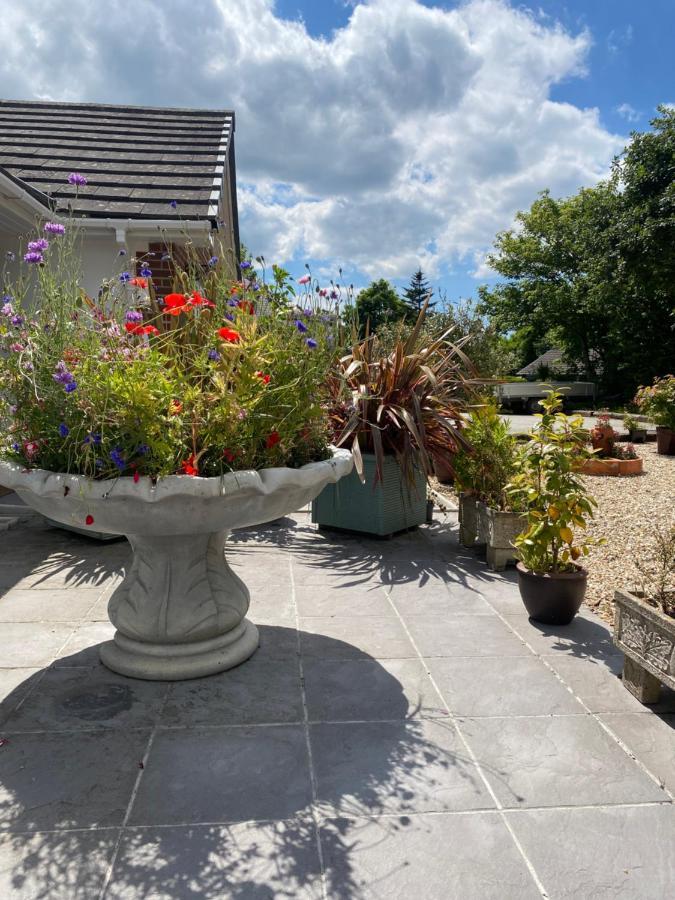 Toppesfield House B&B Bude Eksteriør billede